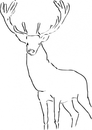 Outline picture of wild animals