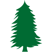 green pine tree silhouette T-Shirt ID: 3249962
