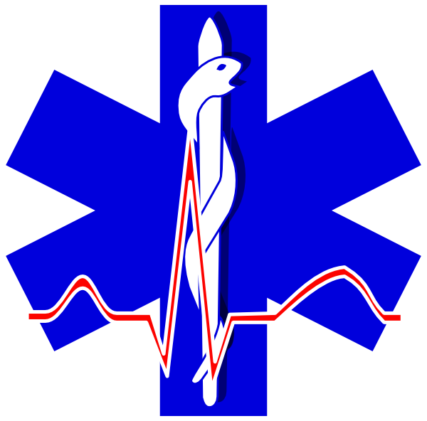 Paramedic Cross clip art - vector clip art online, royalty free ...