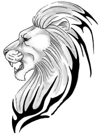 Lion Head Tattoo Sample Drawing