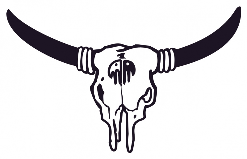 Cow Skull Drawings - ClipArt Best