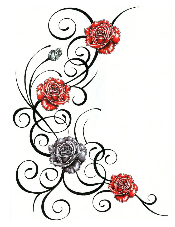 Tattoo Rose Designs | Tribal Rose ...