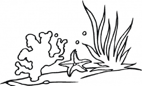 ocean plant coloring pages - photo #8
