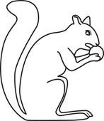 Search Results for squirrels Pictures - Graphics - Illustrations ...