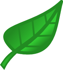 Pics For > Green Leaves Clip Art Png