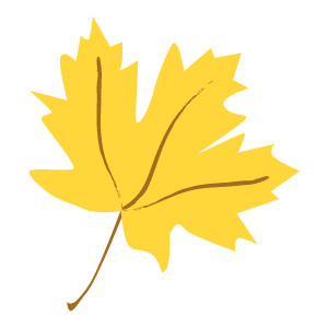 Yellow Maple Leaves Fall Clip Art - Polyvore