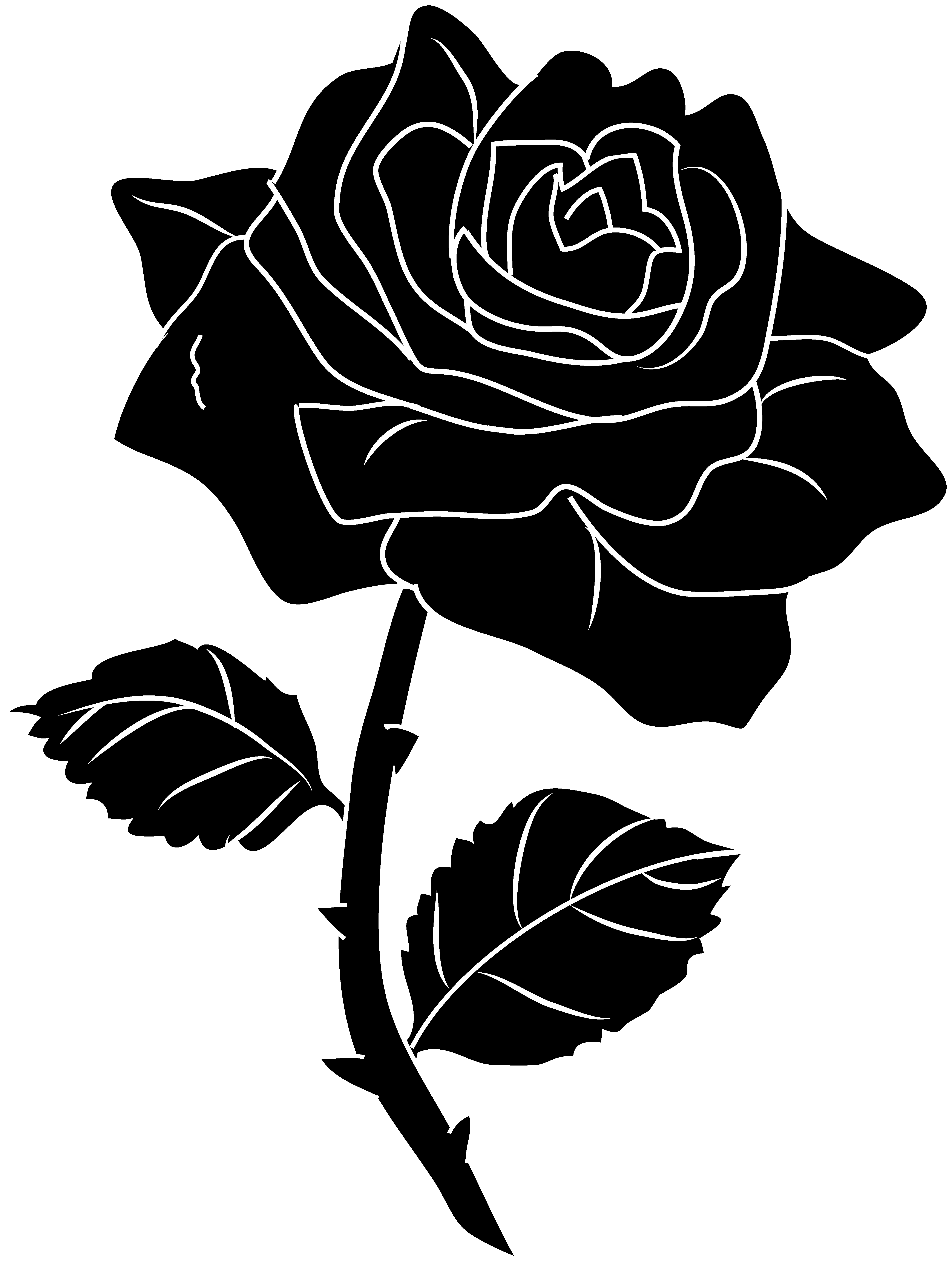Single Rose Black And White Clip Art