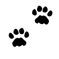 Dog and cat paw print clipart