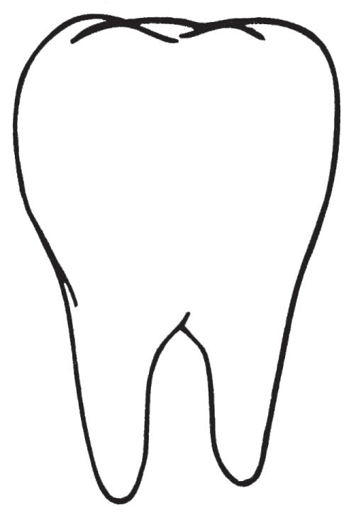 Tooth Outline Clipart