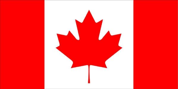 How to Make a Canadian Flag Sheet Cake