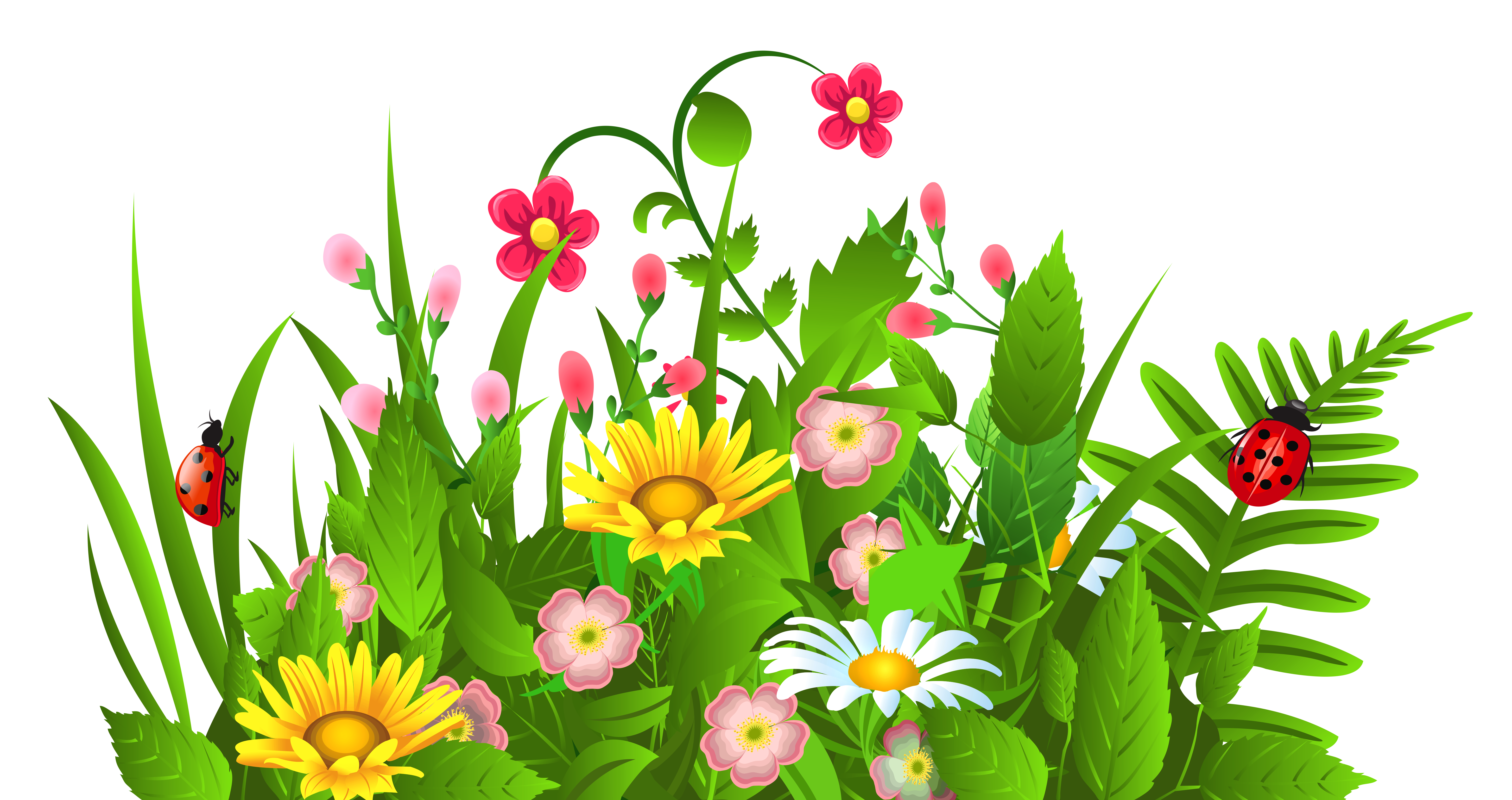 clipart summer flowers - photo #29