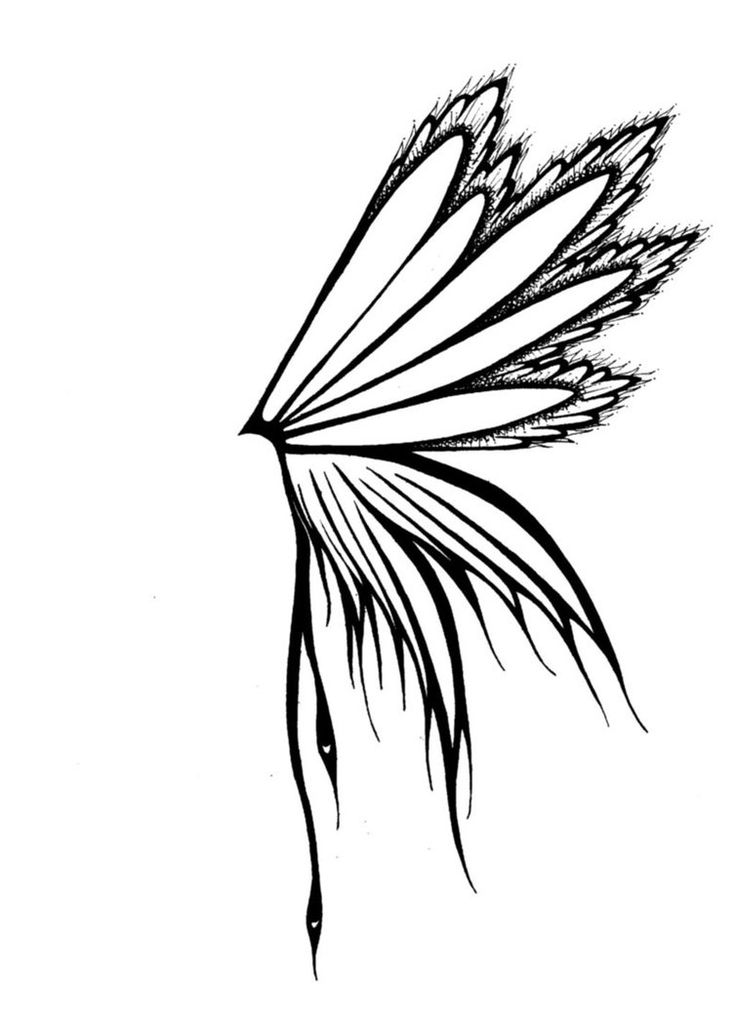 Wings drawing, Wings and Drawings