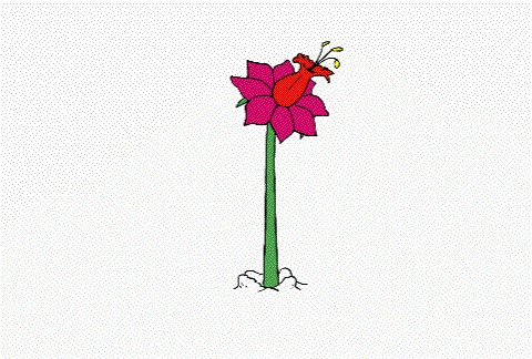 flower bloom | animation | freerobotpants | Flickr