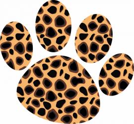 Cheetah Paw Print Items