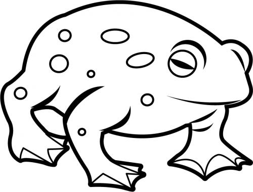 ClipArtFort: Animals » Amphibians » Toad