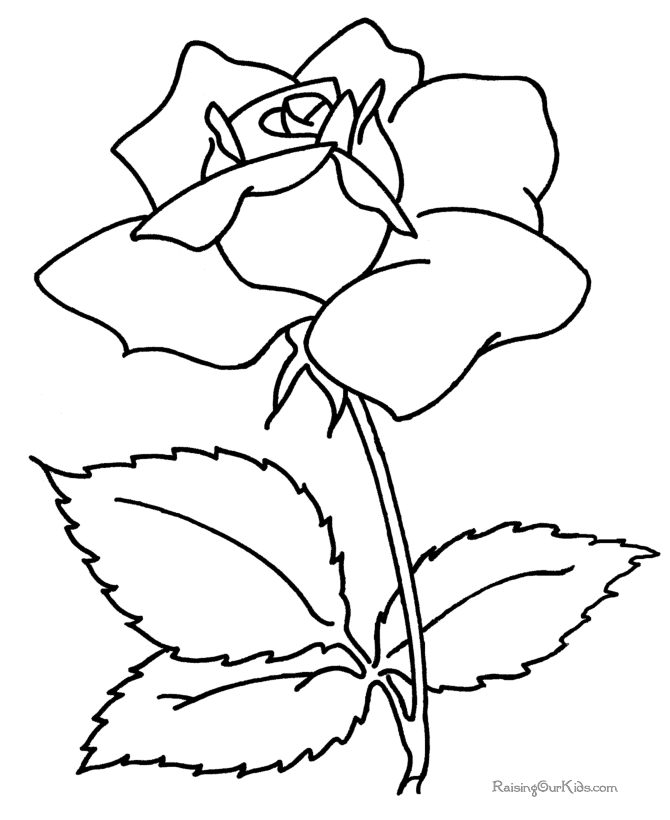 843 views Mothers Day Flowers Coloring Pages