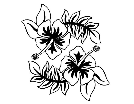 Black Hibiscus Flowers" by MyBestDesigns | Redbubble