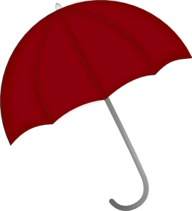 How Personal Umbrella Insurance Protects Your Future
