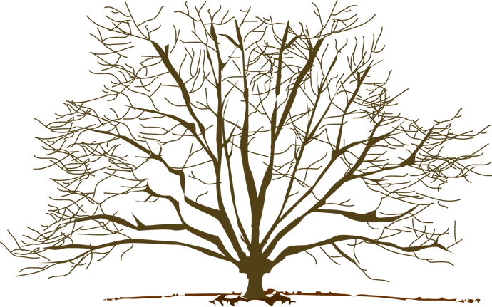 free clipart images trees - photo #47