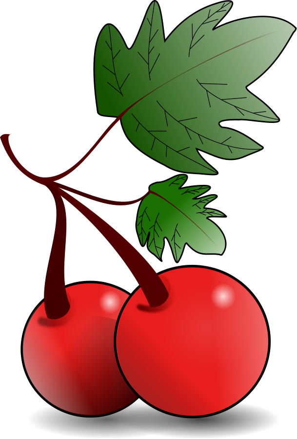 Fruit clip art vector