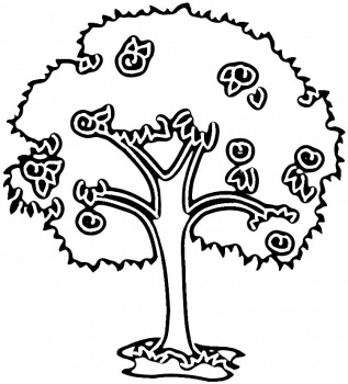 Plum Tree coloring page | Super Coloring