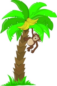 Monkey in tree clipart