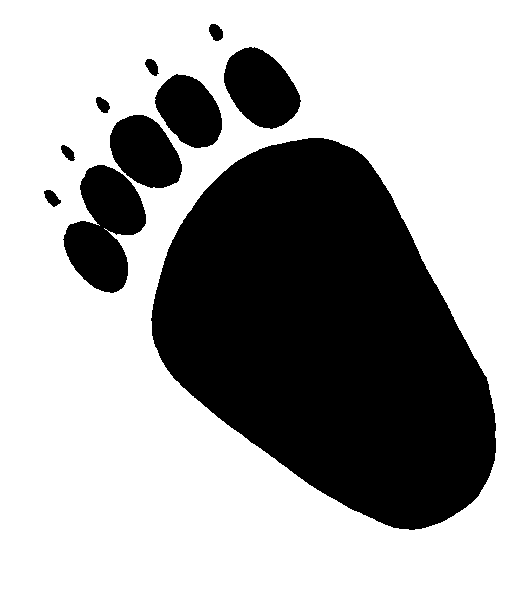 Bear Foot Print | Free Download Clip Art | Free Clip Art | on ...