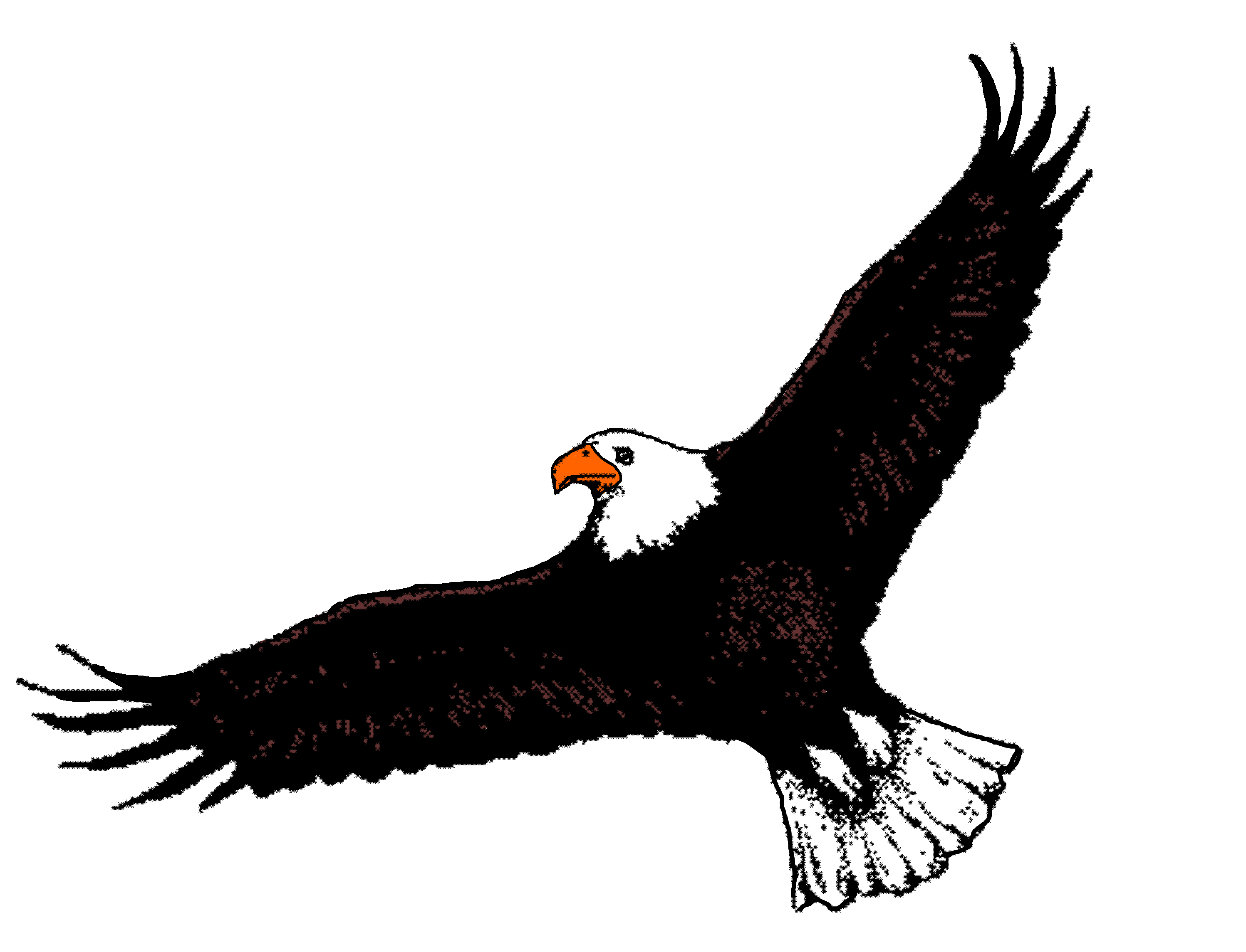 Clipart eagle flying