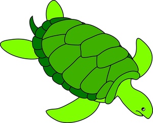 Sea Turtle Clipart Image - Green sea turtle
