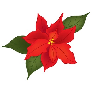 Poinsettia Clipart Image - Christmas Poinsettia Flower