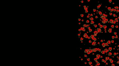 Abstract CGI motion graphics and animated background with roses ...