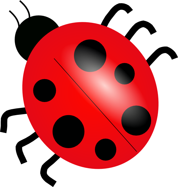 Ladybug clip art Free Vector