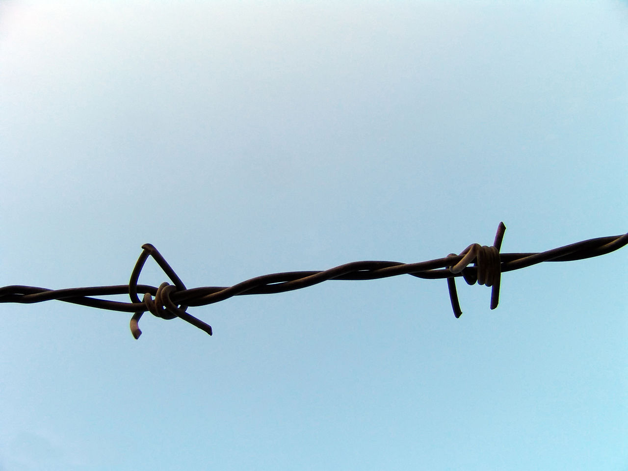 682 views Barbed Wire 2.JPG