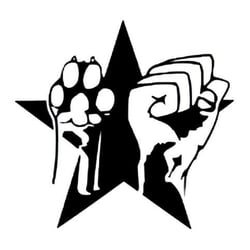 Paws Up! SF - CLOSED - Dog Walkers - Mission, San Francisco, CA ...
