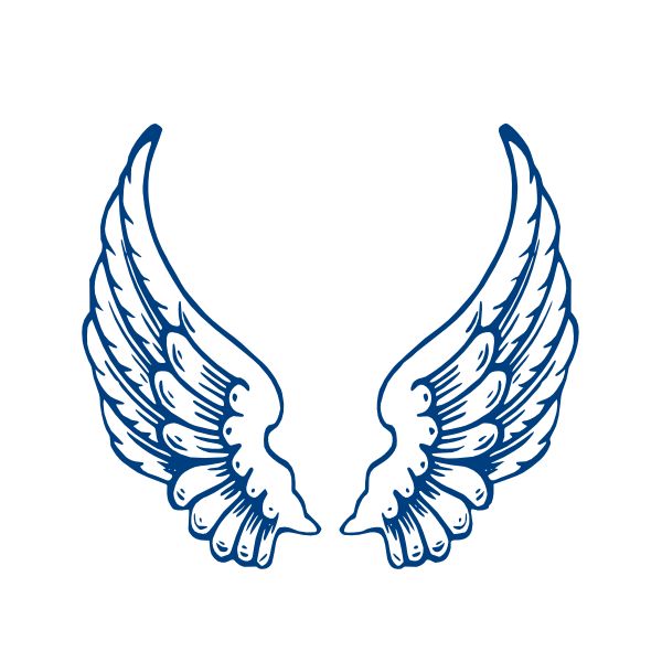 Angel Wings Png | White Angel Wings ...