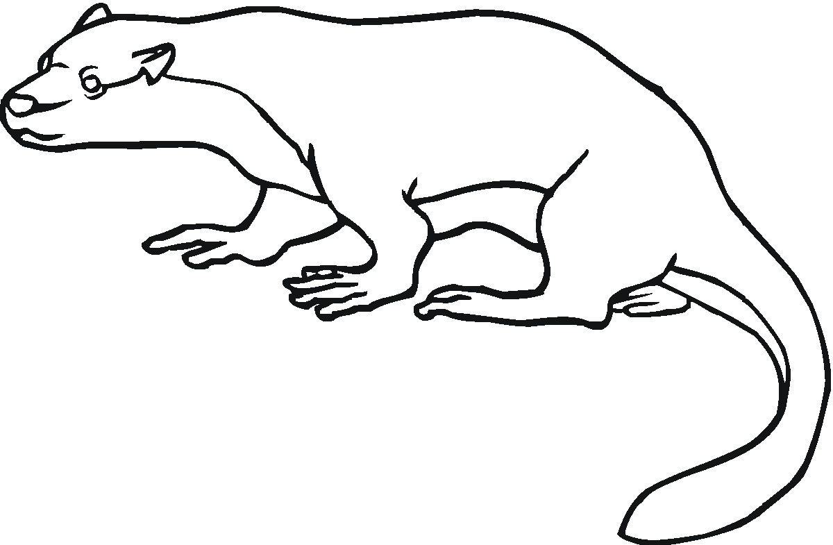 River otter coloring page - Coloring Pages & Pictures - IMAGIXS