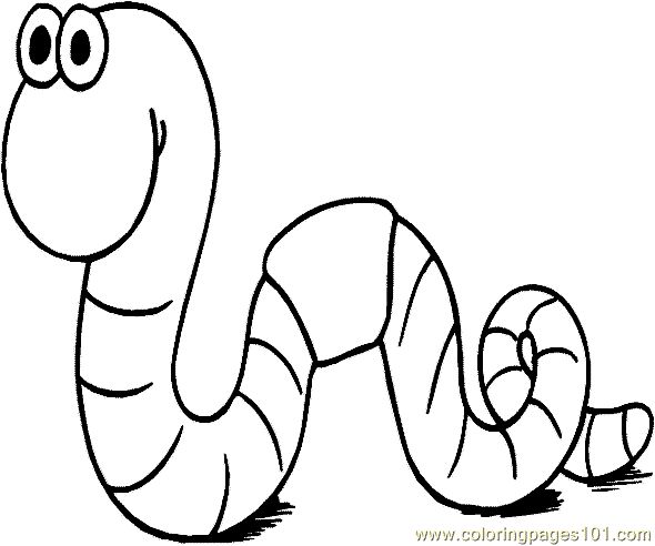 1000+ images about Bug Lesson | Coloring pages ...