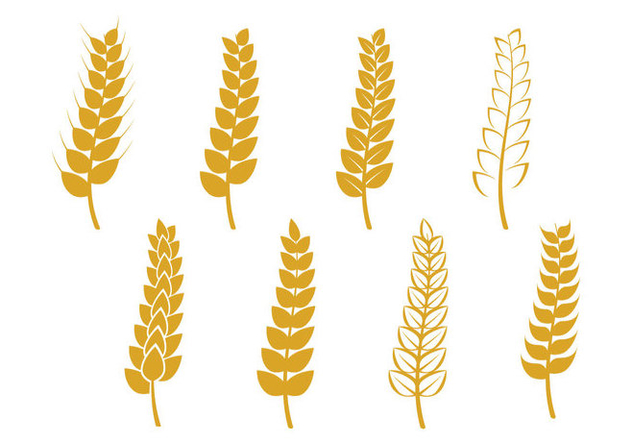 Wheat Stalk Icon Free Vector Download 364927 | CannyPic