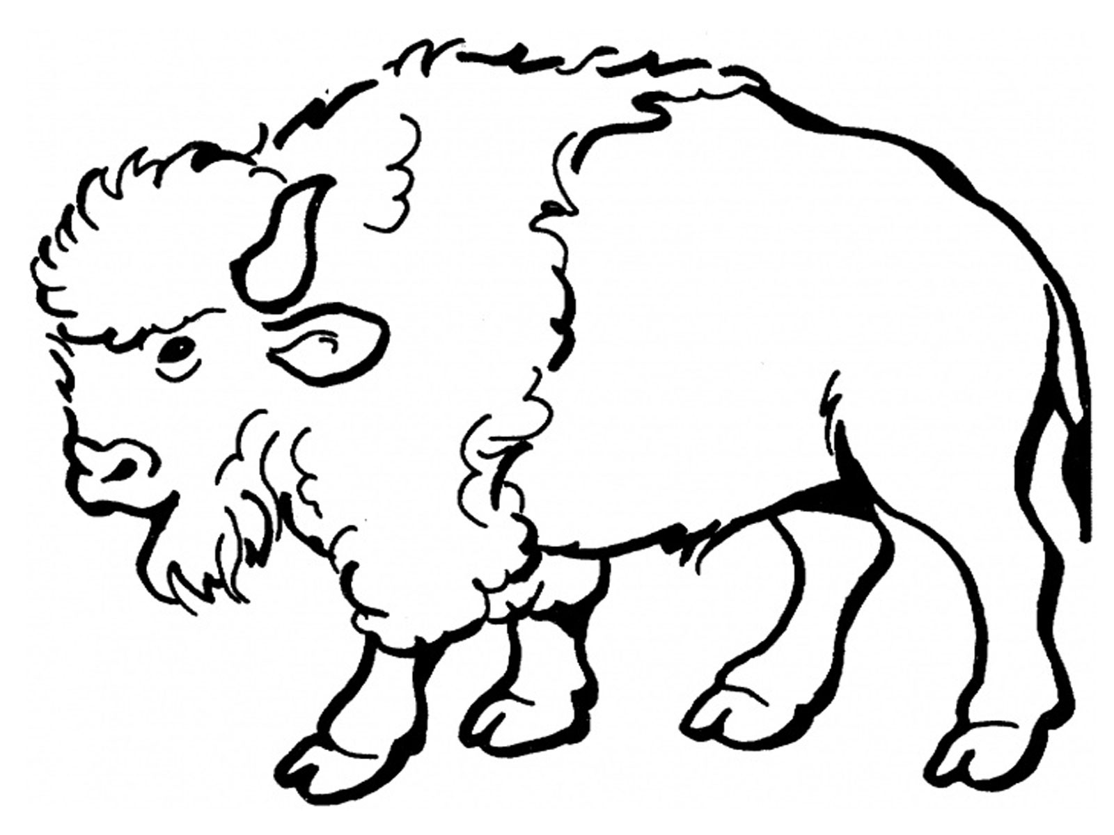 Bison Cartoon Clipart