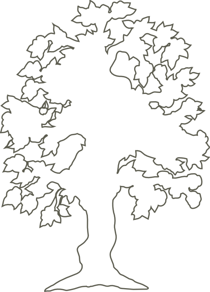 Oak Tree Outline Clipart