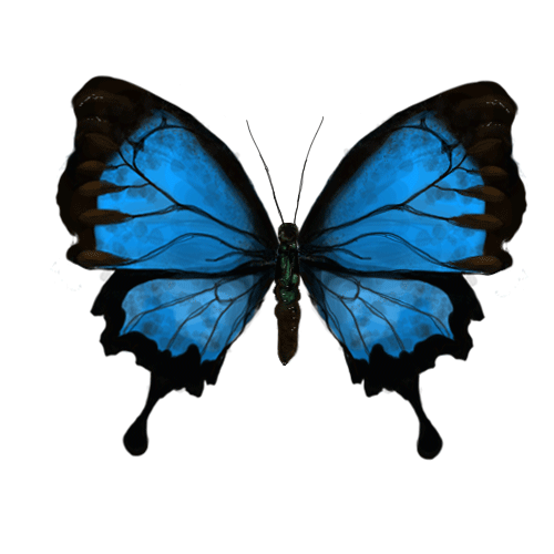 Animated Butterfly Gif Animated butterfly gif in Butterfly ...