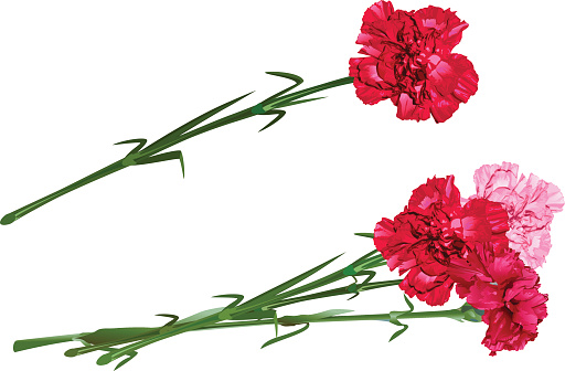 Silhouette Of Carnations Flowers Clip Art, Vector Images ...