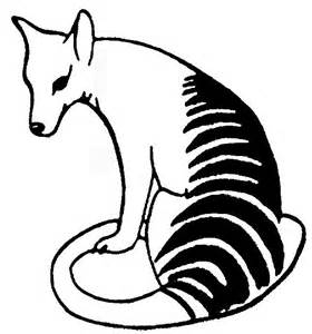 Tasmanian Tiger Drawing 69592 | DFILES