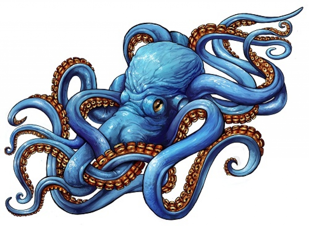 100 Marine Octopus Tattoos Meaning And Designs throughout Awesome ...
