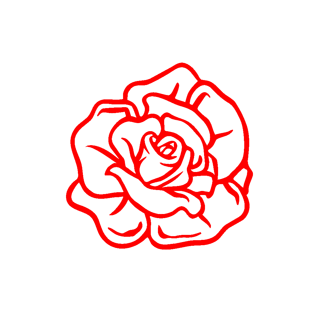 Red Rose Drawings