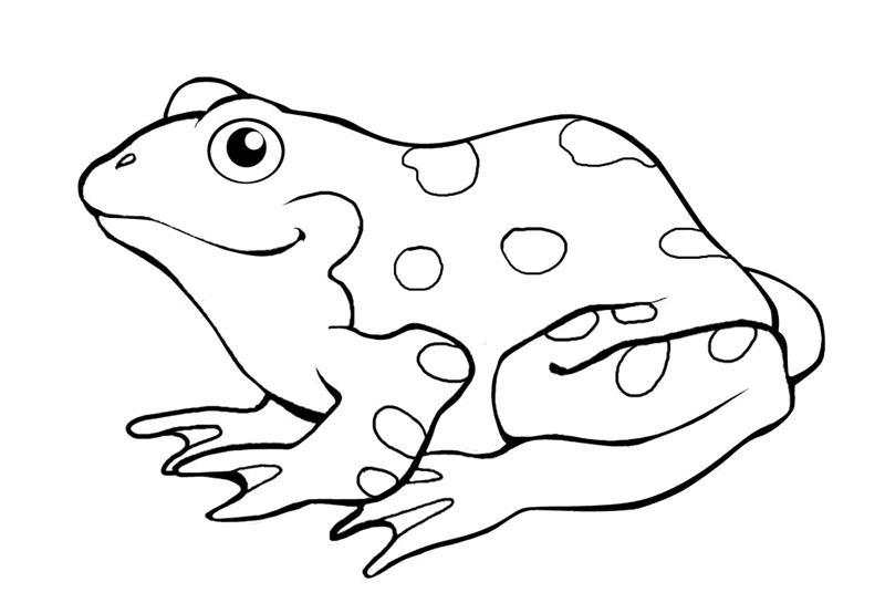 Frog Jumping - Frog Coloring Pages : Coloring Pages for Kids ...