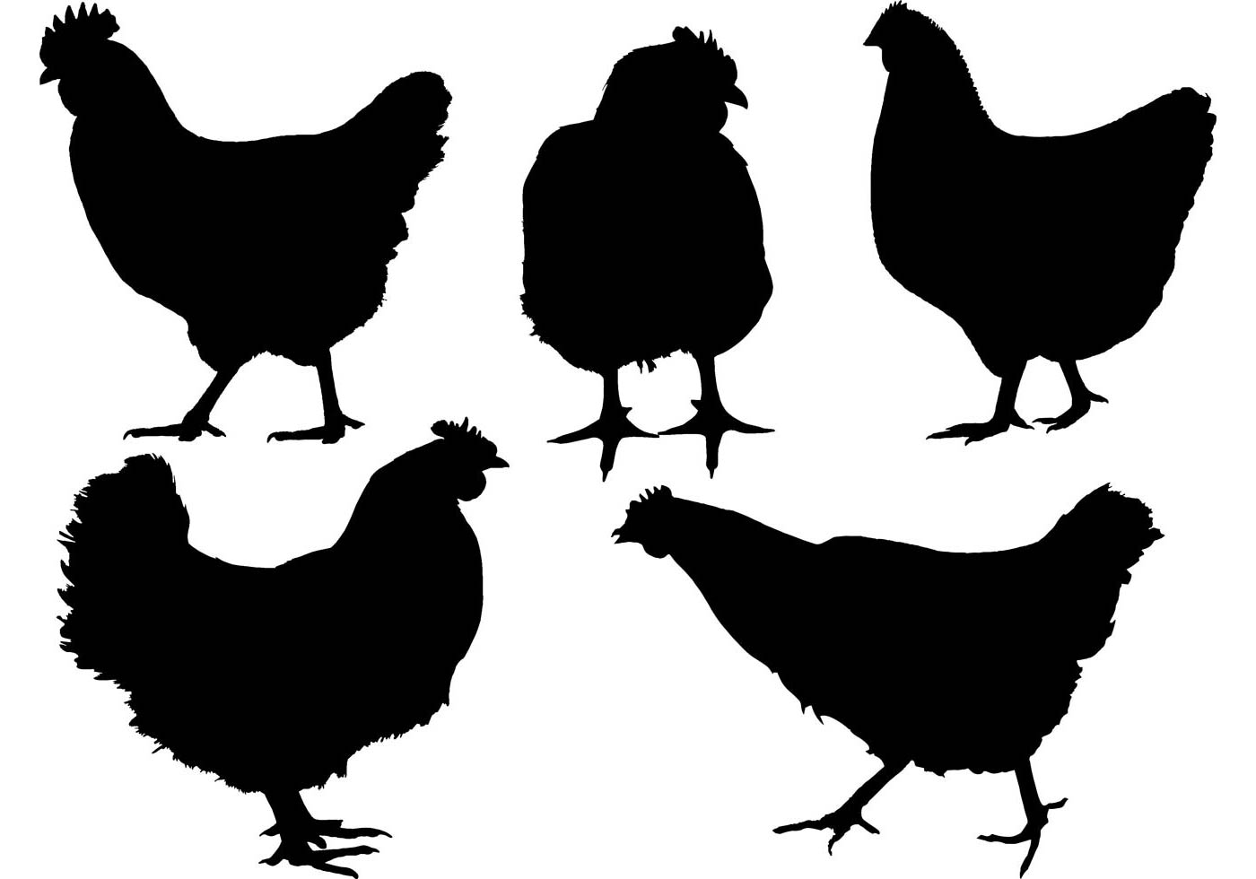 Chicken Free Vector Art - (1016 Free Downloads)