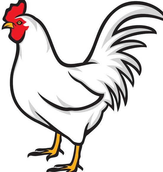 chicken clipart vector - photo #5