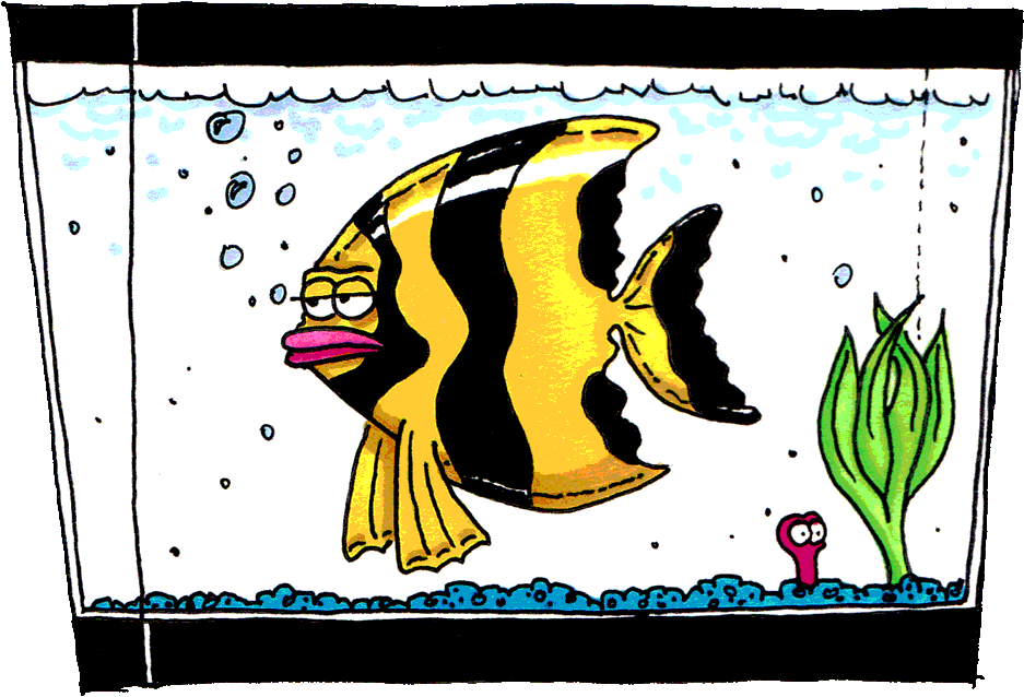fish tank clipart<