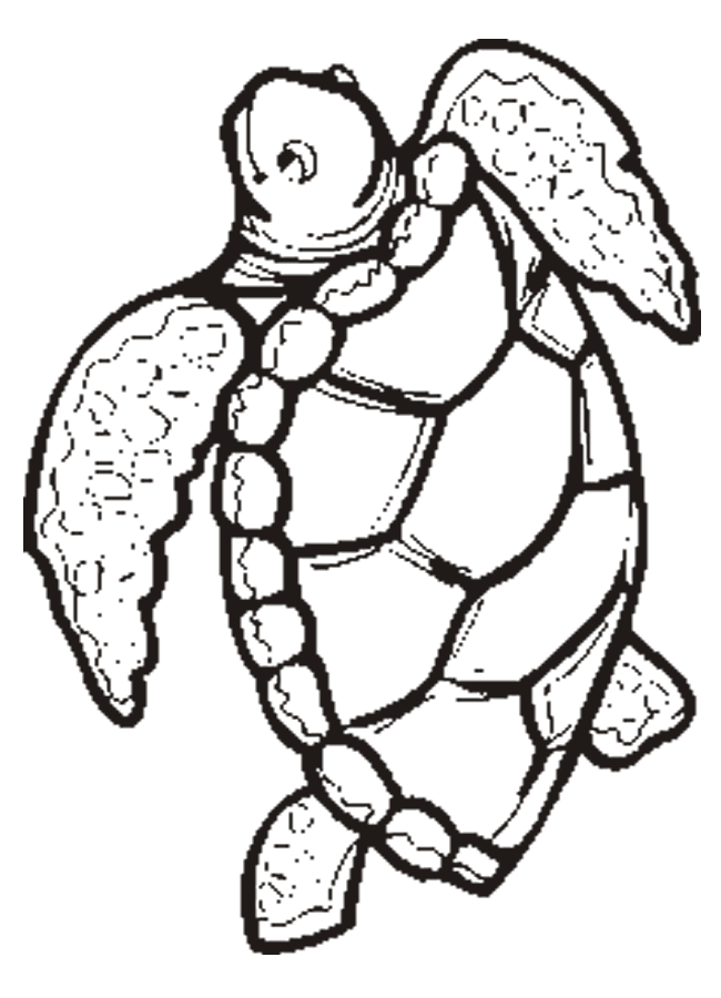 Sea Turtle Coloring Pages Printable. free printable turtle ...